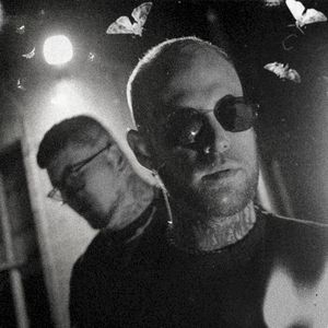 Blinder Pilot