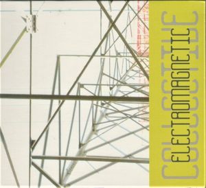Electromagnetic Collective