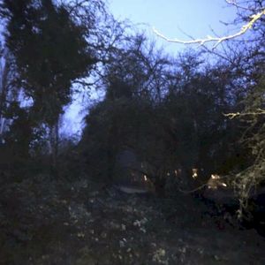 hero (Single)