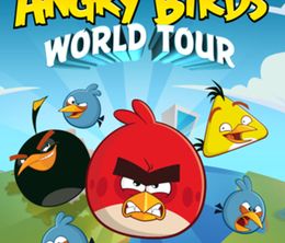 image-https://media.senscritique.com/media/000021536248/0/angry_birds_world_tour.jpg