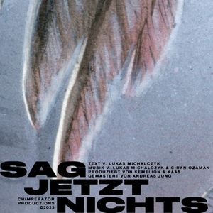 SAG JETZT NICHTS (Single Version) (Single)