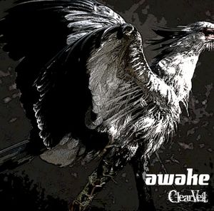 awake (Single)