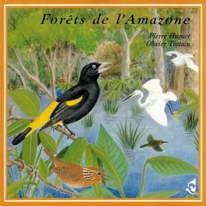 Forêts de l’Amazone / Forests of the Amazon