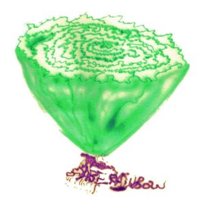 Fresh As A Head Of Lettuce (EP)