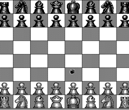 image-https://media.senscritique.com/media/000021540507/0/the_chessmaster_2000.png