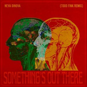 Something's Out There (Todd Fink remix) (Single)