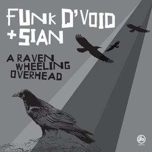 A Raven Wheeling Overhead (Single)