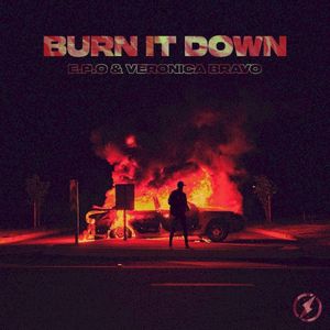 Burn It Down