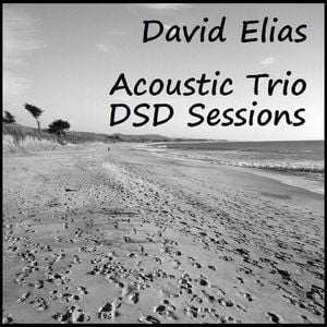 Acoustic Trio - DSD Sessions