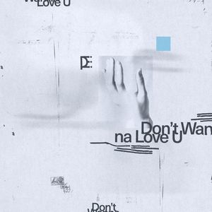 Don't Wanna Love U (Single)