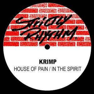 In the Spirit (The Perk‐Us‐On mix)