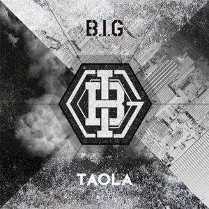 Big Transformer (Single)