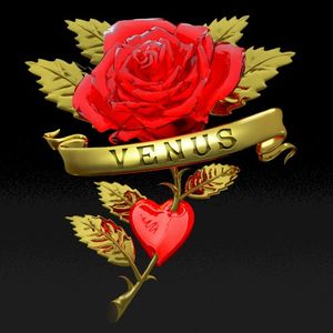 Venus - Boys Noize Rework