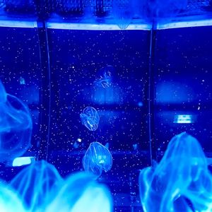 Tokyo Odyssey (Single)