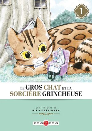 Le gros chat et la sorcière grincheuse