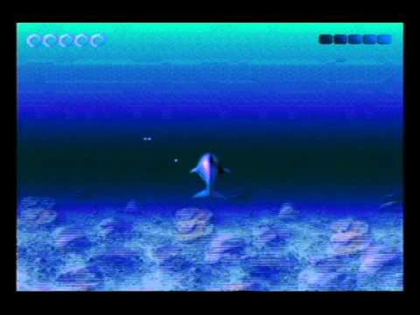 Ecco the Dolphin