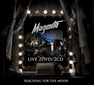 Reaching for the Moon (Live)