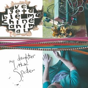 My Daughter the Spider - The Imaginary Cassette