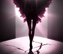 image-https://media.senscritique.com/media/000021569140/0/victoria_s_secret_angels_and_demons.jpg