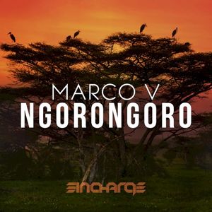 Ngorongoro (Single)