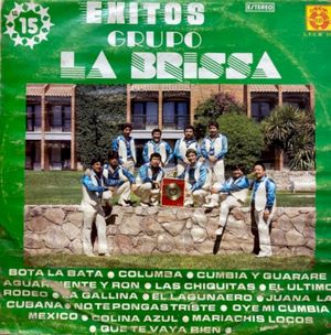 15 Éxitos Grupo La Brissa