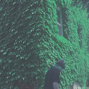 all i ever will be (Single)