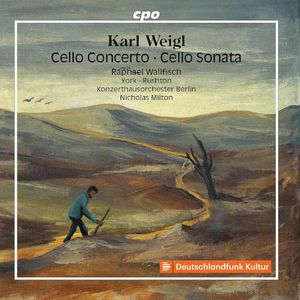 Cello Concerto: Larghetto