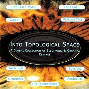 Into Topological Space: A Global Collection of Electronic & Organic Remixes