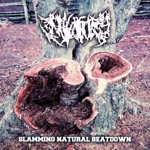 Slamming Natural Beatdown (EP)
