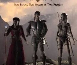 image-https://media.senscritique.com/media/000021577627/0/the_lady_the_mage_and_the_knight.jpg