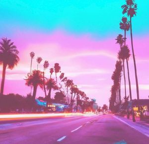 Sunset Drive