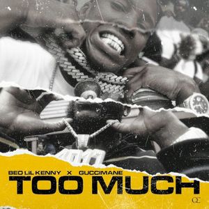 Too Much (Single)