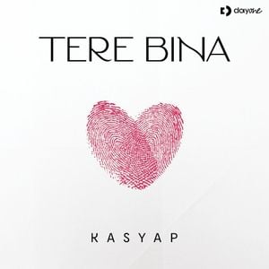 Tere Bina (Single)
