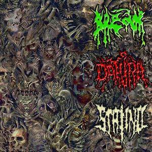 Donbass Brutal Syndicate