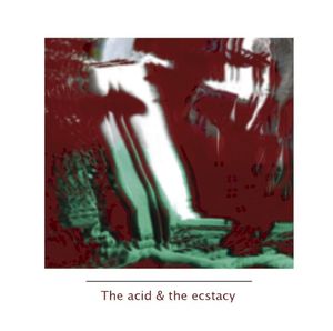 Only Acid Can Set Me Free (The Common Raven remix)