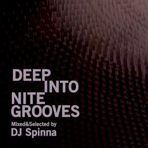 Deep Into Nite Grooves