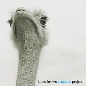 James Brown Boogaloo Project
