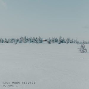 Hawk Moon Records: Volume X