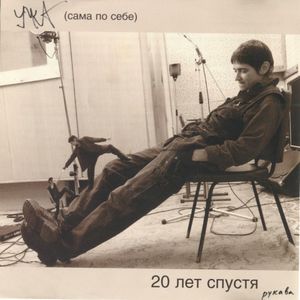 20 лет спустя (рукава)