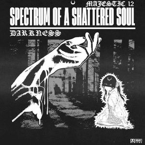 Spectrum of a Shattered Soul