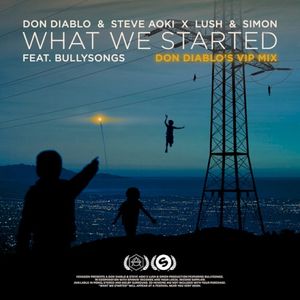 What We Started (Don Diablo’s VIP dub)