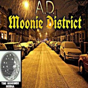 Moonie District (EP)