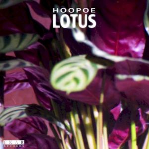 Lotus (EP)