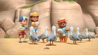 Paddington contre les mouettes