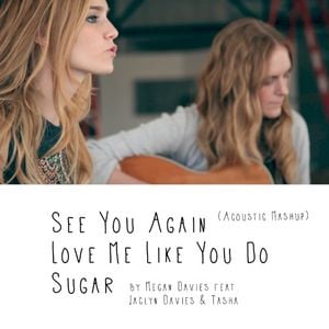See You Again, Love Me Like You Do, Sugar (Acoustic Mashup) (Single)