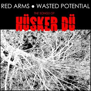 The Songs of Hüsker Dü