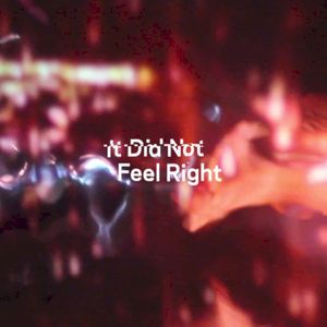 It Did Not Feel Right (Single)