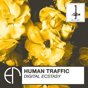 Digital Ecstasy