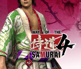image-https://media.senscritique.com/media/000021598162/0/way_of_the_samurai_4.png