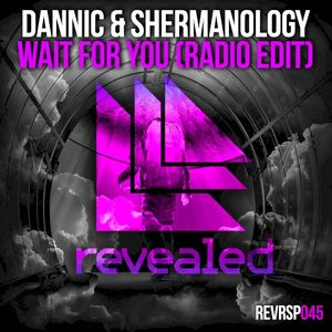 Wait for You (radio edit) (Single)